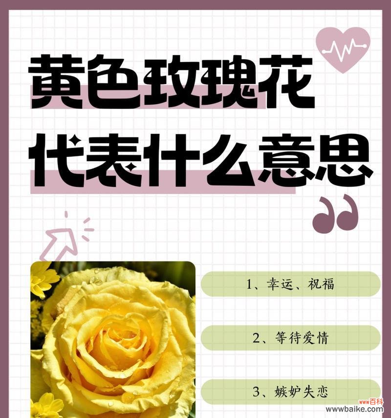 粉红玫瑰花11朵代表什么？11朵玫瑰的花语是什么？
