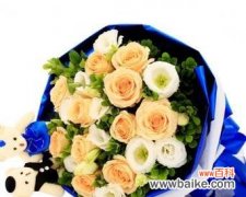 粉红玫瑰花11朵代表什么？11朵玫瑰的花语是什么？