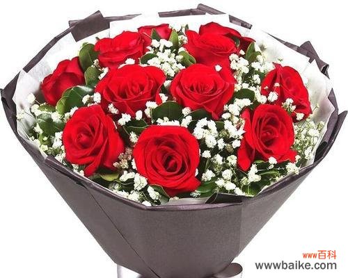 粉红玫瑰花11朵代表什么？11朵玫瑰的花语是什么？