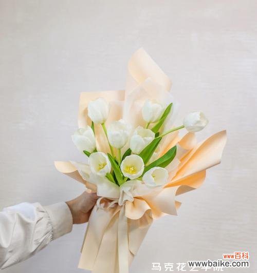 传递纯洁与祝福的象征 白色郁金香的花语