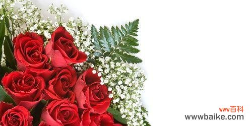 浪漫、热情、爱情 红色玫瑰花语剖析