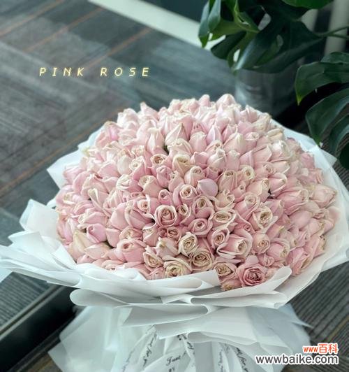 用花语讲述粉玫瑰的含义和传说 粉玫瑰——梦幻般的花语