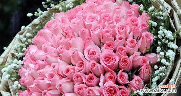 用花语讲述粉玫瑰的含义和传说 粉玫瑰——梦幻般的花语