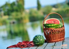 有关西瓜的资料，西瓜图片