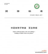 百合种子有何用途？