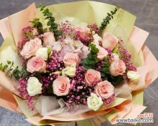 11朵粉色玫瑰的花语是什么？