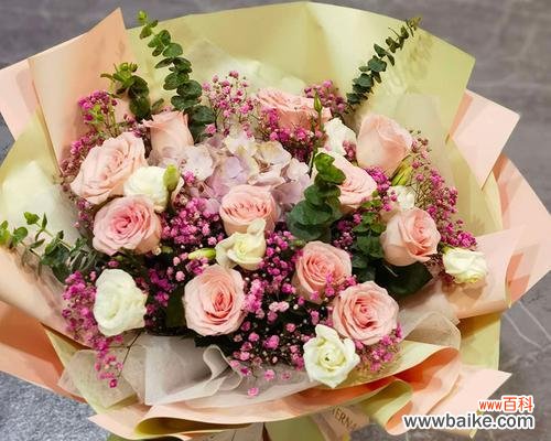 11朵粉色玫瑰的花语是什么？