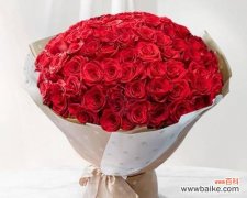 从数字到情感 解读玫瑰支数的奥秘