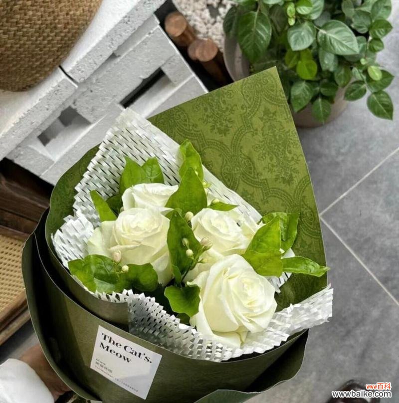 三朵白玫瑰的花语是什么？