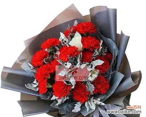 浪漫的爱情与热情的烙印 红色康乃馨的花语