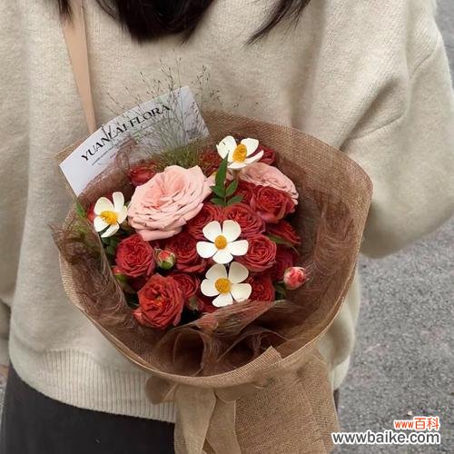 玫瑰花开预示着什么？