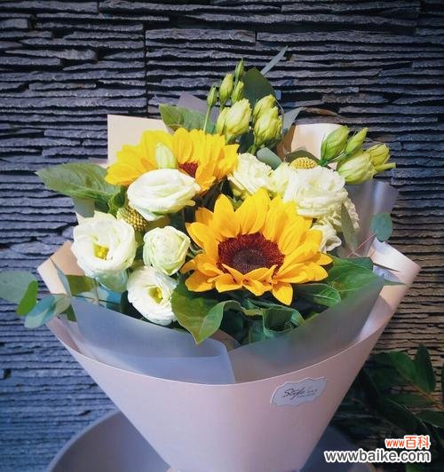 女生送康乃馨好吗？亲友收到康乃馨会有什么感受？