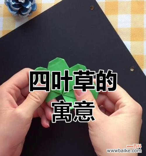 四叶草花盆栽的寓意是什么？通常象征着什么？
