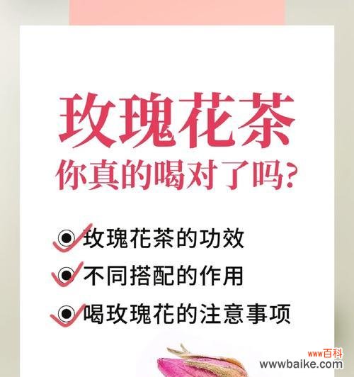 大的符号玫瑰花是什么意思？大符号玫瑰花的含义是什么？