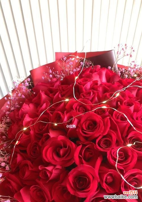 红色小束玫瑰花的含义是什么？