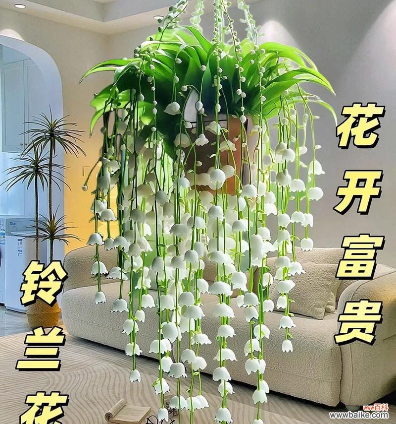 盆栽中哪种花的花语最好？盆栽花卉的花语有哪些？