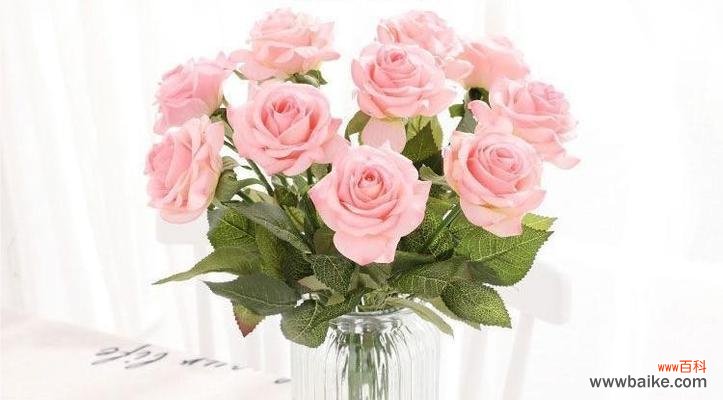 探寻粉玫瑰背后的情感和寓意 粉玫瑰的花语——表达浪漫的方式