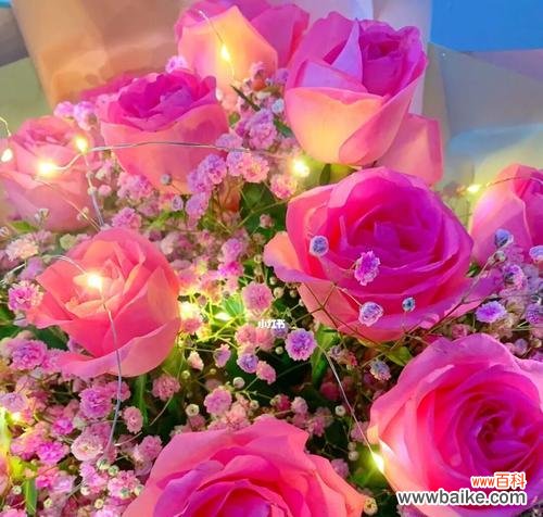 用花语解读粉玫瑰的浪漫之意 花语探秘