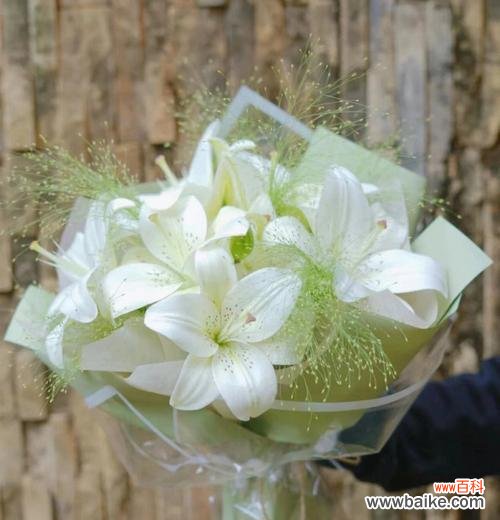 送百合花有什么特别含义？百合花象征着什么？