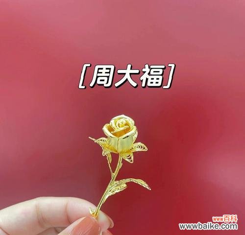探寻金玫瑰花语背后的丰富内涵 金玫瑰花语的含义与象征