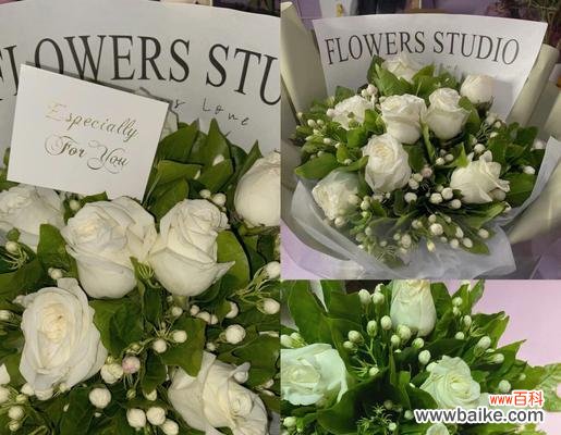 白玫瑰放在别人家有何寓意?