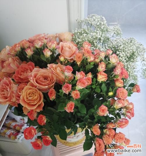 哪些花适合送给闺蜜表达情感?