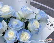 探寻男性送蓝玫瑰的深层寓意 男人送蓝玫瑰的含义及象征