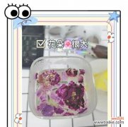 白山茶玫瑰花代表什么含义？白山茶玫瑰花的象征意义是什么？