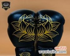 泰拳莲花的寓意是什么？