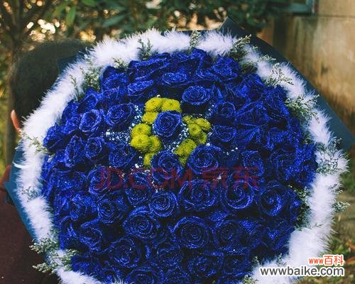 突破传统的独特表达方式,用蓝色玫瑰传递心意 男人送蓝玫瑰的象征意义及深层寓意