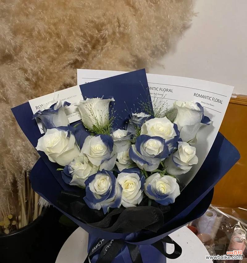 马耳他玫瑰花的寓意是什么?它在花语中象征着什么?