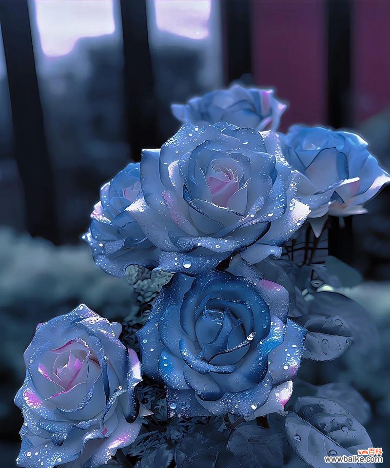 粘土制作的玫瑰花有何花语？这种手工艺品的寓意是什么？