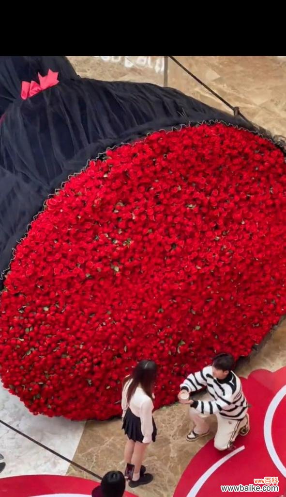 一大束玫瑰花送给女生有何深意？