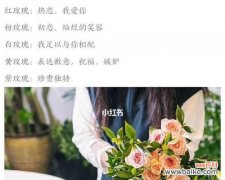 解读鲜花背后的隐秘语言，感受花语之美 花语之美