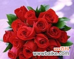 8朵玫瑰送给女人代表的意义以及文化背景解读 男人为女人送8朵玫瑰的寓意剖析