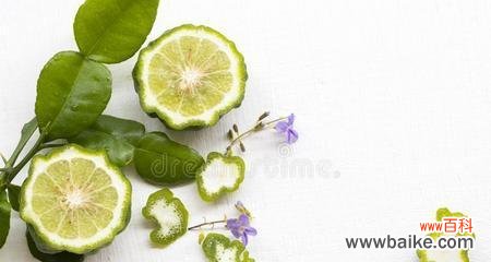 柠檬草,芳香之草 柠檬草的花语——展现清新与欢愉