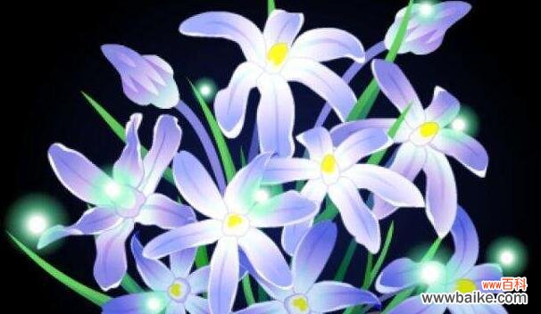 探索女贞子花朵背后的意义与象征 女贞子的花语与象征