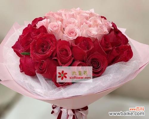 包里藏玫瑰花有何寓意？它通常用来传达什么信息？