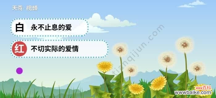 蒲公英的花语及其传递的含义 蒲公英花语与其寓意