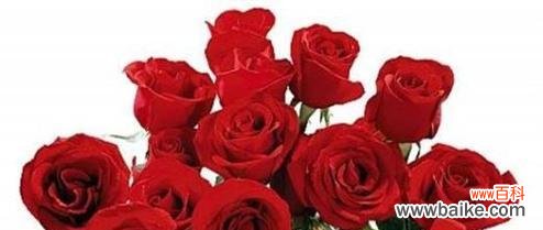 七朵玫瑰花的寓意与表达 七朵玫瑰
