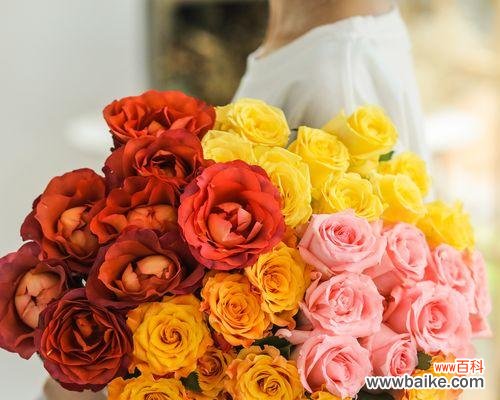 绽放绚丽的七彩之花 七彩玫瑰的魅力与寓意