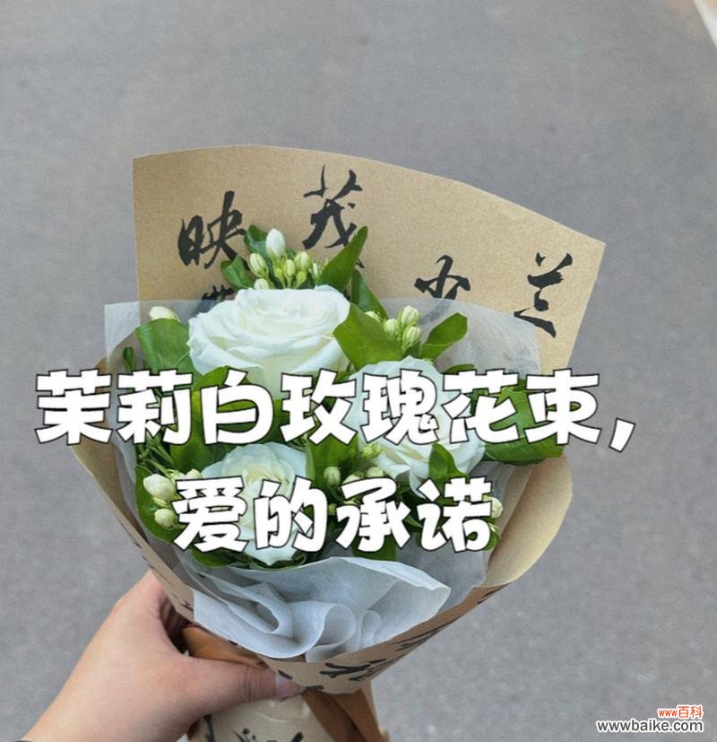 手打10朵白玫瑰传递了哪些信息？白玫瑰的花语是什么？