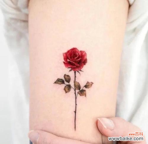 手上刻玫瑰花的含义是什么?纹身玫瑰花的意义是什么?