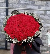 情人节送哪种花卉最合适？