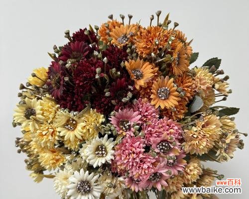 骑车摆件花束的寓意是什么？花束摆件在骑行文化中有何意义？