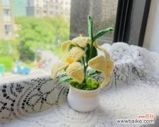 小盆花卉摆件的寓意是什么？通常象征着什么？