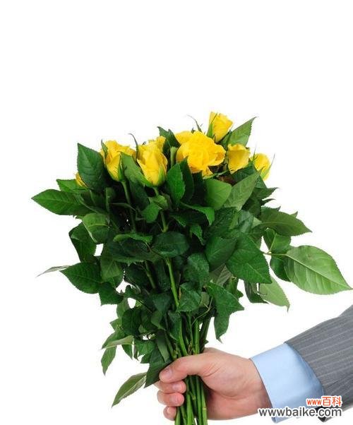 揭秘黄玫瑰在情侣之间的象征意义 黄玫瑰代表情侣关系中的友谊与忠诚