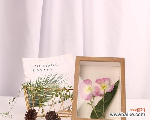 玫瑰花收纳框的寓意是什么?它传递了哪些信息?