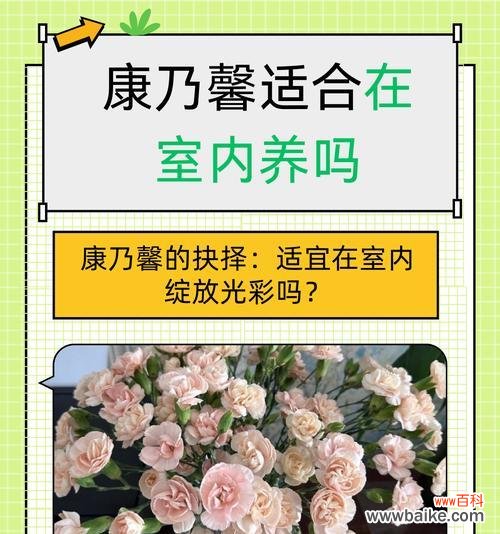 花卉在不同场合代表什么意义?