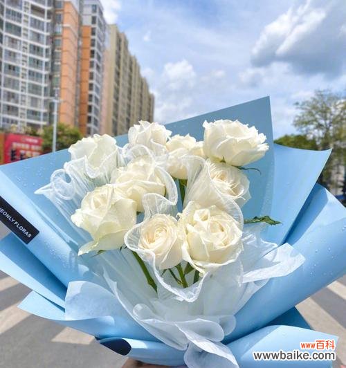 330朵白玫瑰花束代表什么？这种数量的白玫瑰有何特殊含义？